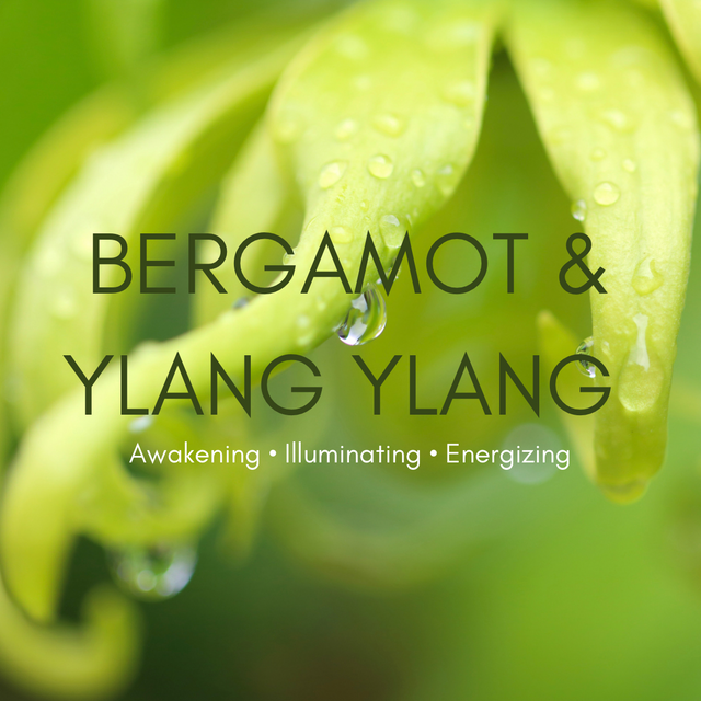 BERGAMOT & YLANG YLANG CANDLE